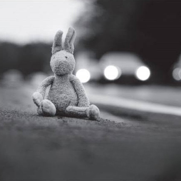 Rabbit Hole - 2018-2019